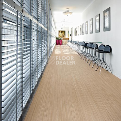 Forbo Marmoleum Decibel on Order e523535 North Sea coast фото 2 | FLOORDEALER